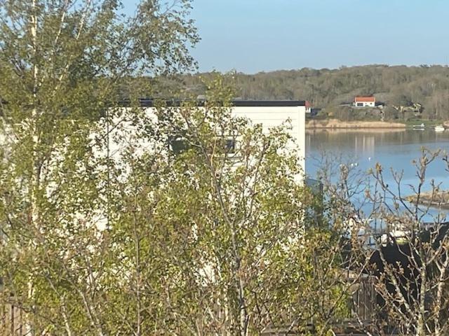 Mycket trevlig stuga på Brännö med havsutsikt Branno Exteriör bild