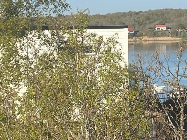 Mycket trevlig stuga på Brännö med havsutsikt Branno Exteriör bild