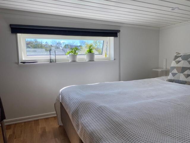 Mycket trevlig stuga på Brännö med havsutsikt Branno Exteriör bild